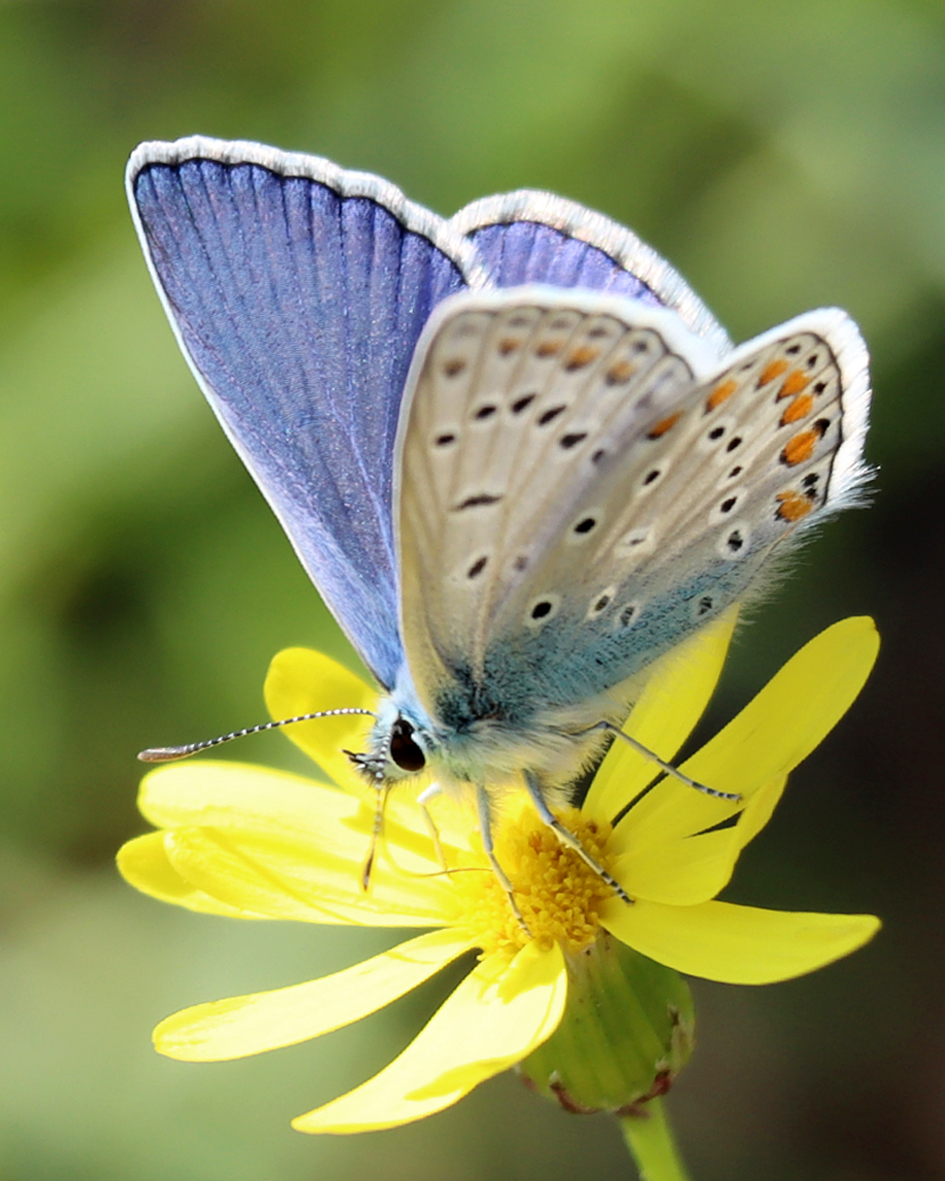 UteKrause_fotografie57